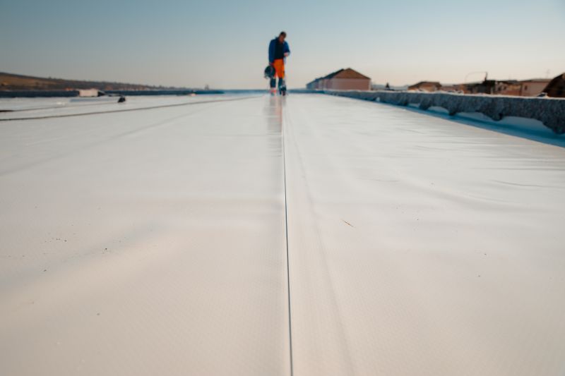 Summer Roof Coating